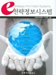 e 전략정보 시스템